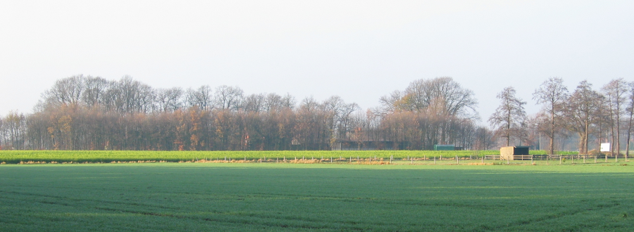 Blick auf den Hof