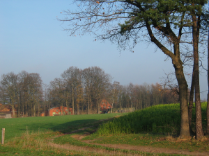 Hof von hinten